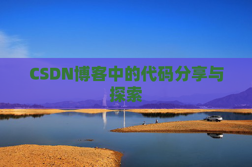 CSDN博客中的代码分享与探索
